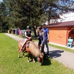 phoca_thumb_m_ponk 91 Fotogalerie